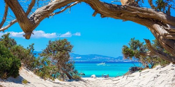 creta8